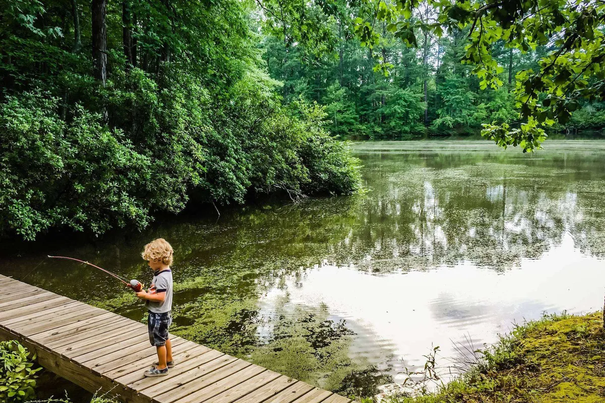 A child is fishing from a wooden dock that extends over calm water, surrounded by lush greenery. The scene captures a sense of nostalgia and family bonding, with nature as the backdrop. The water is still, inviting viewers to imagine peaceful outdoor moments and the simple joys of spending time together.