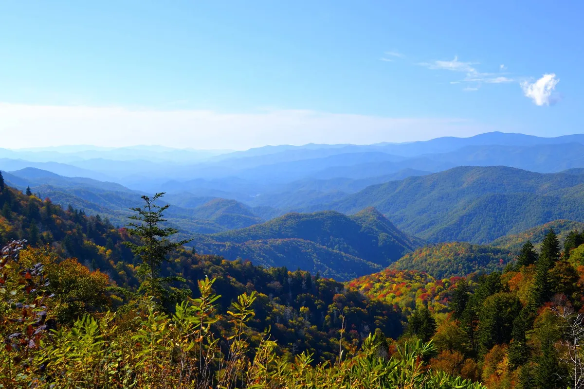 A panoramic view of distant mountains under a clear blue sky, with vibrant autumn foliage in the foreground. The scene is serene and inviting, capturing the beauty of the local landscape and inviting outdoor exploration such as hiking and nature observation.